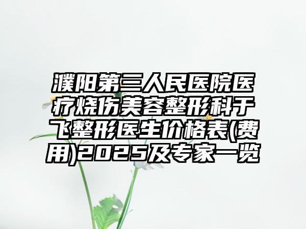 濮阳第三人民医院医疗烧伤美容整形科于飞整形医生价格表(费用)2025及专家一览