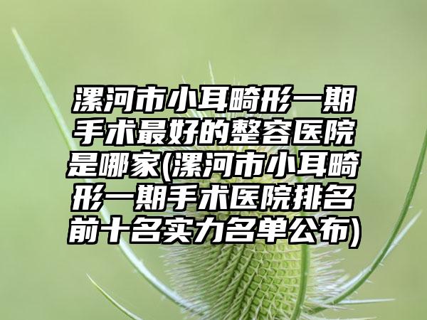 漯河市小耳畸形一期手术最好的整容医院是哪家(漯河市小耳畸形一期手术医院排名前十名实力名单公布)